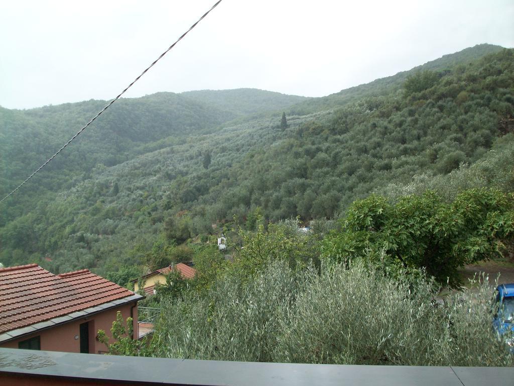 Piccolo Rifugio Nel Verde Chiusavecchia 部屋 写真