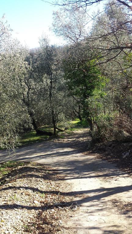 Piccolo Rifugio Nel Verde Chiusavecchia エクステリア 写真