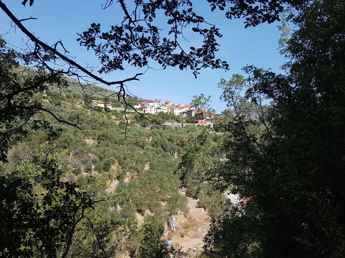 Piccolo Rifugio Nel Verde Chiusavecchia エクステリア 写真
